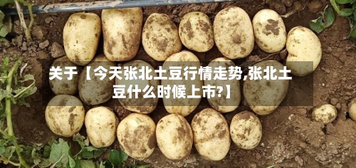 关于【今天张北土豆行情走势,张北土豆什么时候上市?】-第3张图片