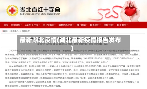 最新湖北疫情(湖北最新疫情报告发布)