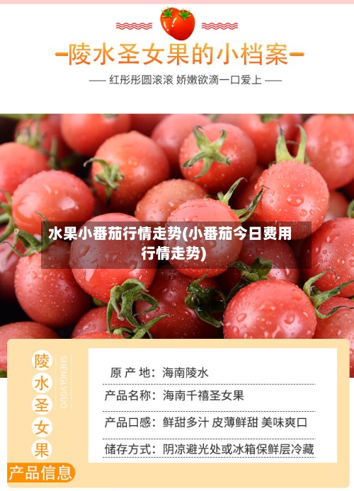 水果小番茄行情走势(小番茄今日费用行情走势)-第2张图片