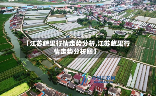 【江苏蔬果行情走势分析,江苏蔬果行情走势分析图】-第2张图片