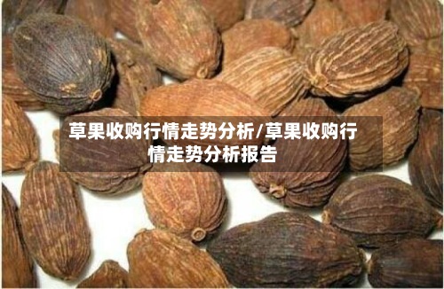 草果收购行情走势分析/草果收购行情走势分析报告-第3张图片