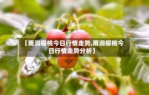 【雨润樱桃今日行情走势,雨润樱桃今日行情走势分析】