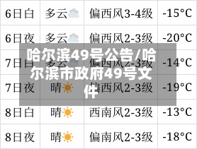 哈尔滨49号公告/哈尔滨市政府49号文件-第3张图片