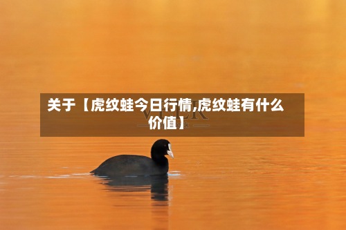 关于【虎纹蛙今日行情,虎纹蛙有什么价值】