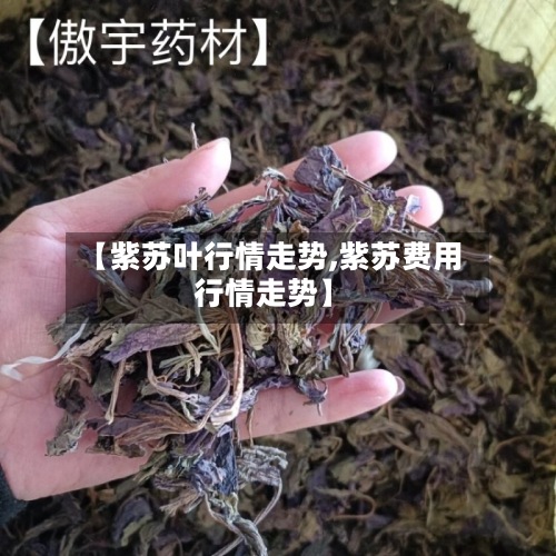 【紫苏叶行情走势,紫苏费用行情走势】