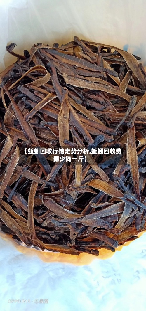 【蚯蚓回收行情走势分析,蚯蚓回收费用多少钱一斤】