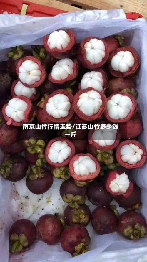 南京山竹行情走势/江苏山竹多少钱一斤