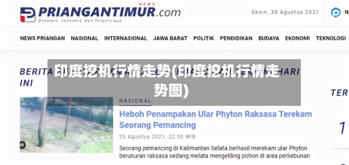 印度挖机行情走势(印度挖机行情走势图)-第2张图片
