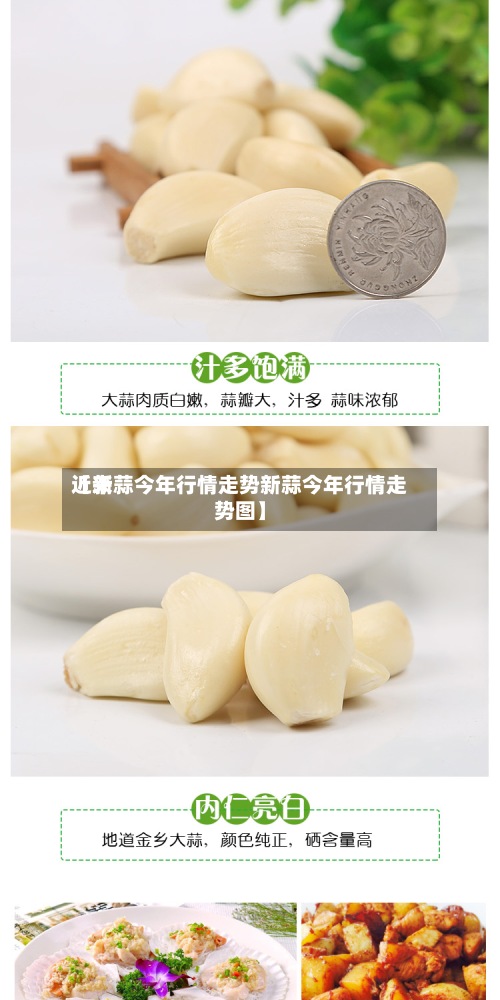 近来【新蒜今年行情走势新蒜今年行情走势图】
