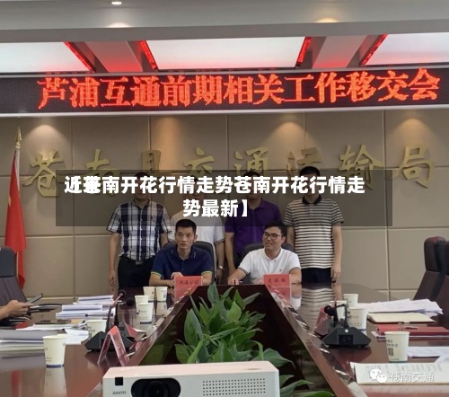 近来【苍南开花行情走势苍南开花行情走势最新】-第3张图片