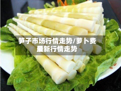 笋子市场行情走势/萝卜费用最新行情走势