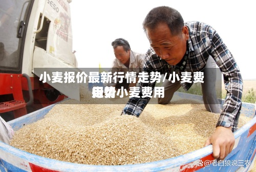 小麦报价最新行情走势/小麦费用行情小麦费用走势