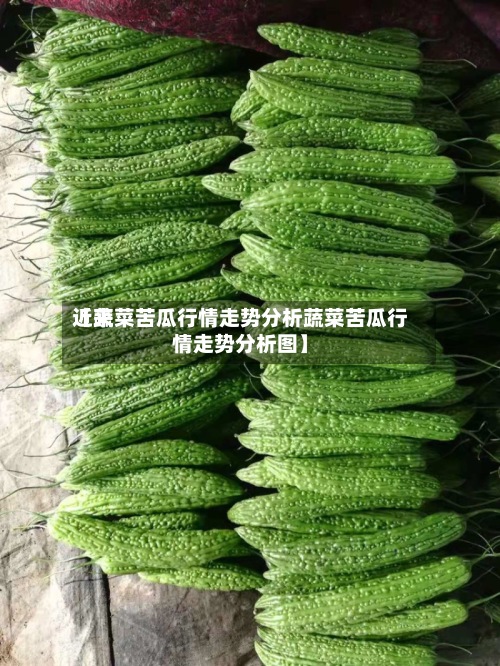 近来【蔬菜苦瓜行情走势分析蔬菜苦瓜行情走势分析图】-第2张图片