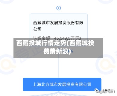 西藏投城行情走势(西藏城投费用行情新浪)