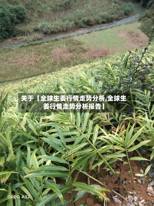 关于【全球生姜行情走势分析,全球生姜行情走势分析报告】
