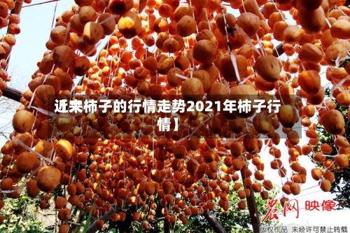 近来【大柿子的行情走势2021年柿子行情】-第2张图片