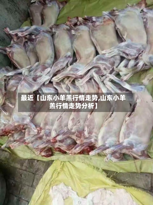 最近【山东小羊羔行情走势,山东小羊羔行情走势分析】