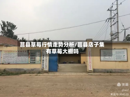 莒县草莓行情走势分析/莒县店子集有草莓大棚吗-第2张图片