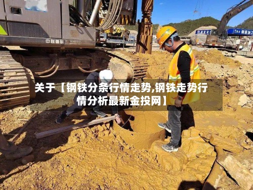 关于【钢铁分条行情走势,钢铁走势行情分析最新金投网】-第3张图片