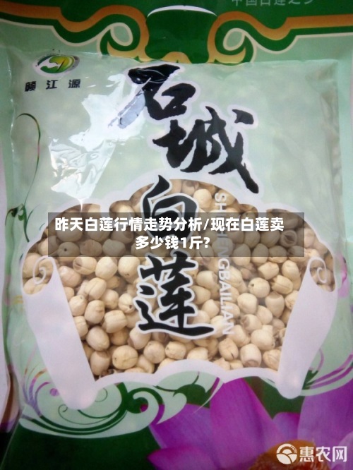 昨天白莲行情走势分析/现在白莲卖多少钱1斤?-第2张图片