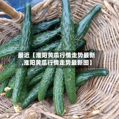 最近【淮阳黄瓜行情走势最新,淮阳黄瓜行情走势最新图】