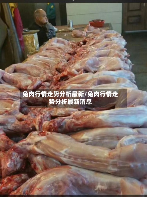 兔肉行情走势分析最新/兔肉行情走势分析最新消息-第3张图片