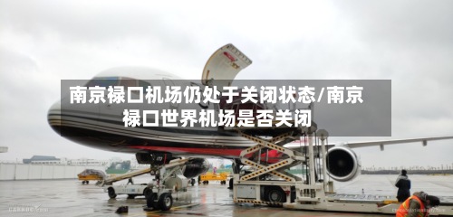 南京禄口机场仍处于关闭状态/南京禄口世界机场是否关闭-第2张图片