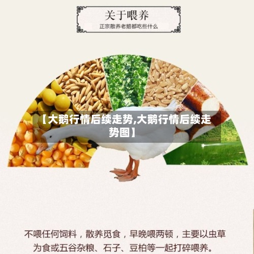 【大鹅行情后续走势,大鹅行情后续走势图】-第2张图片