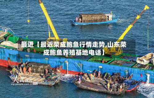 最近【最近荣成鲍鱼行情走势,山东荣成鲍鱼养殖基地电话】-第2张图片