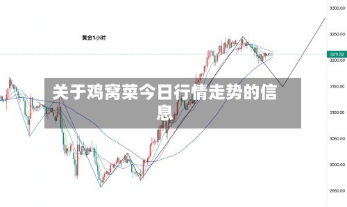 关于鸡窝菜今日行情走势的信息-第2张图片