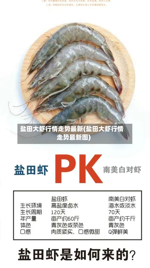 盐田大虾行情走势最新(盐田大虾行情走势最新图)-第2张图片
