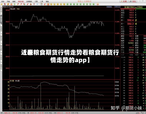 近来【看粮食期货行情走势看粮食期货行情走势的app】-第2张图片