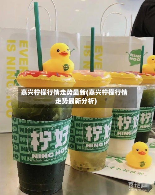 嘉兴柠檬行情走势最新(嘉兴柠檬行情走势最新分析)