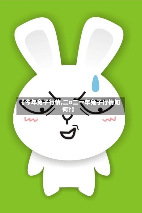 【今年兔子行情,二o二一年兔子行情如何?】-第2张图片