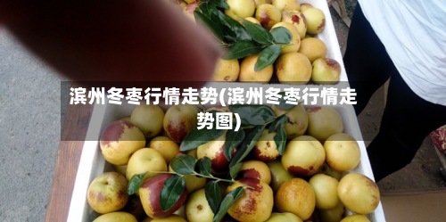 滨州冬枣行情走势(滨州冬枣行情走势图)