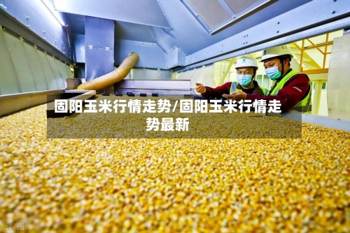 固阳玉米行情走势/固阳玉米行情走势最新