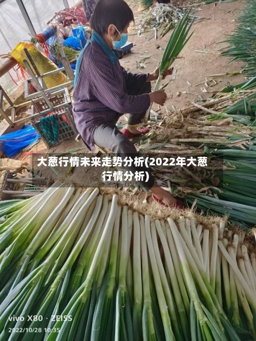 大葱行情未来走势分析(2022年大葱行情分析)-第2张图片