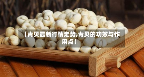 【青贝最新行情走势,青贝的功效与作用点】