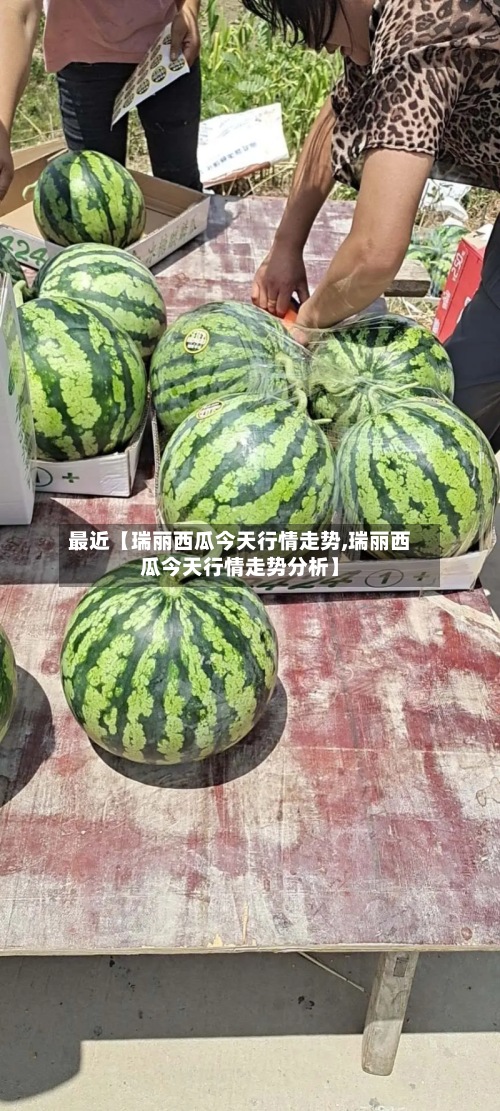最近【瑞丽西瓜今天行情走势,瑞丽西瓜今天行情走势分析】-第3张图片