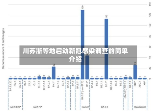 川苏浙等地启动新冠感染调查的简单介绍