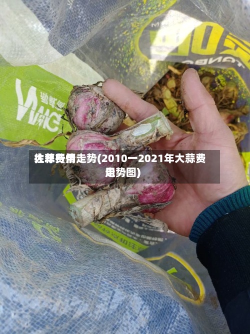 大蒜费用往年行情走势(2010一2021年大蒜费用走势图)