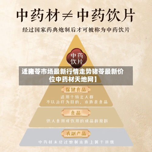 近来【猪苓市场最新行情走势猪苓最新价位中药材天地网】-第2张图片