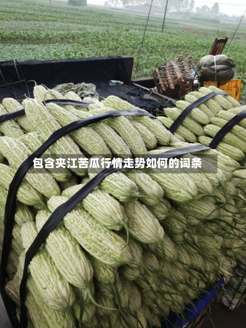 包含夹江苦瓜行情走势如何的词条