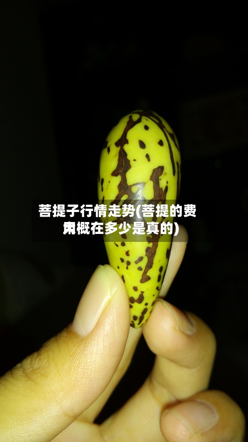 菩提子行情走势(菩提的费用大概在多少是真的)-第2张图片