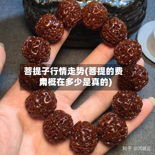 菩提子行情走势(菩提的费用大概在多少是真的)-第3张图片