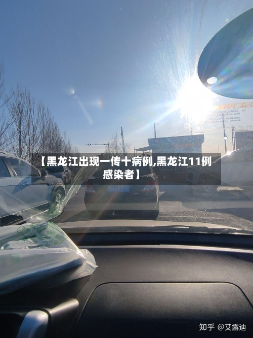 【黑龙江出现一传十病例,黑龙江11例感染者】-第2张图片