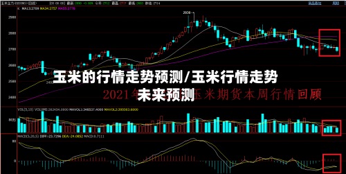 玉米的行情走势预测/玉米行情走势未来预测