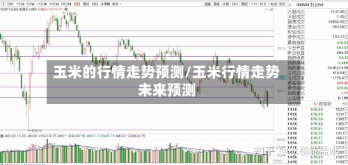 玉米的行情走势预测/玉米行情走势未来预测-第3张图片