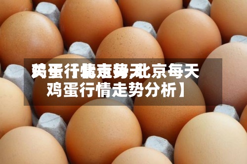 关于【北京每天鸡蛋行情走势,北京每天鸡蛋行情走势分析】-第2张图片