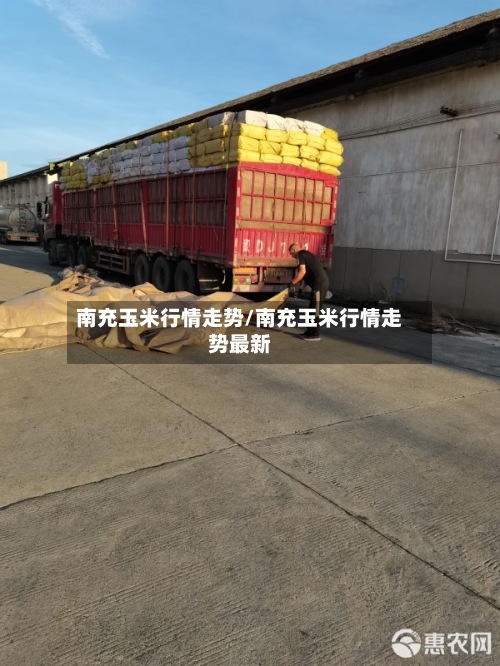 南充玉米行情走势/南充玉米行情走势最新-第2张图片